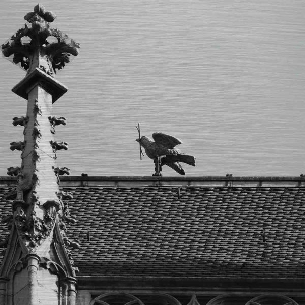 Das Wahrzeichen von Ulm – der Ulmer Spatz. Es zeigt das Bild eines Vogels, welcher auf dem First eines Daches sitzt und einen Zweig im Schnabel hat. Im linken Bildteil ist ein kleiner Turm vom Ulmer Münster zu sehen. Das Bild ist in den Farben Schwarz-Weiss.